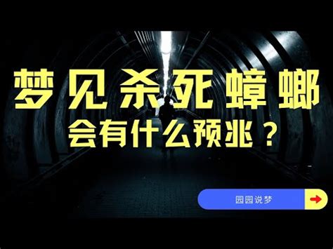 夢見殺死很多蟑螂|夢見蟑螂（9 種含義和解釋） – 心理術